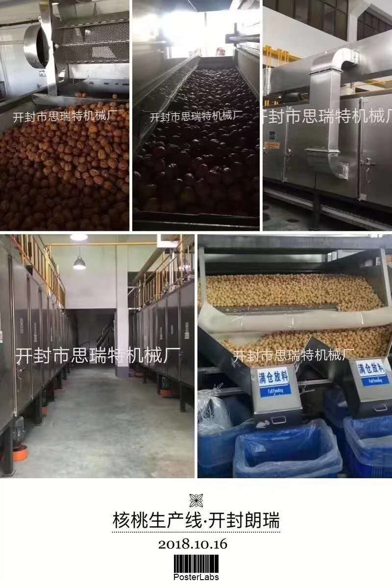 多味核桃生產線