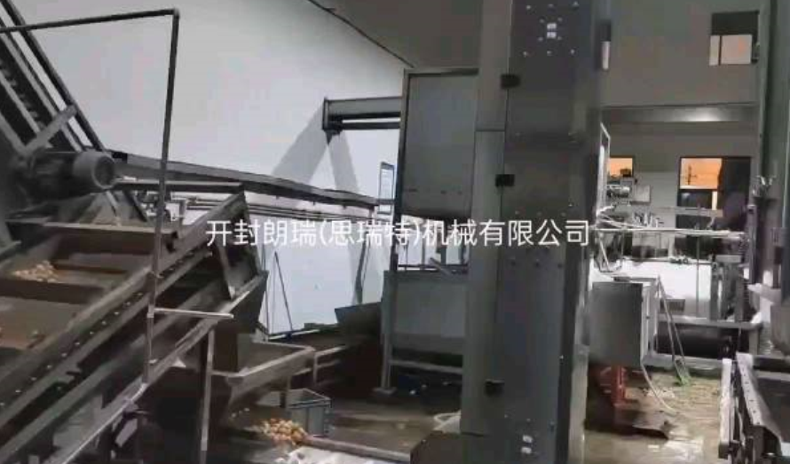 高檔堅果生產線